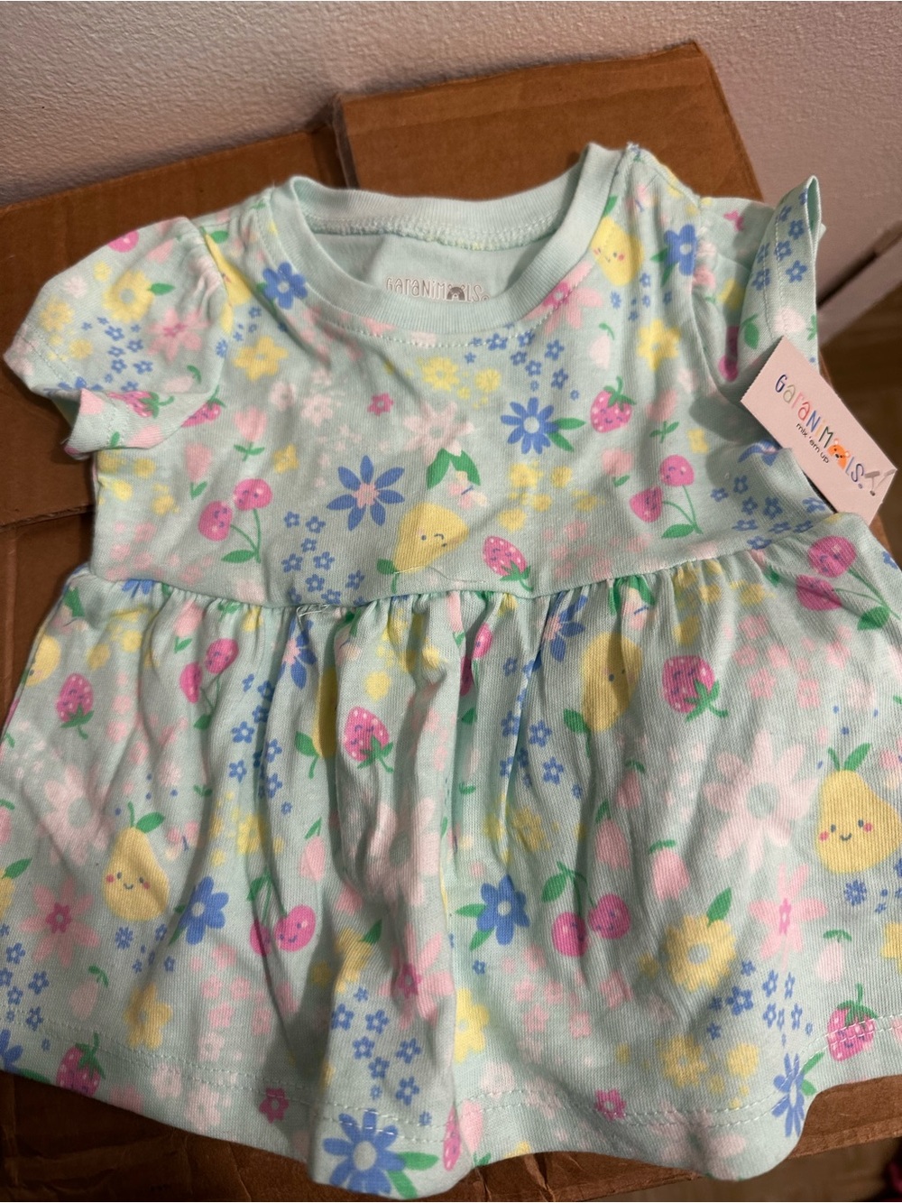 Garanimals Mint Floral & Fruit Baby Dress